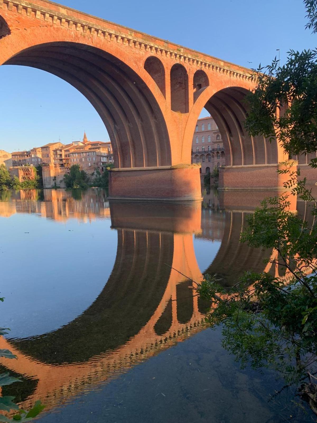 Comfort And Fab Views Albi Esterno foto
