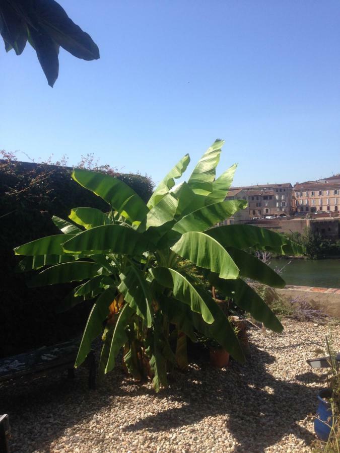 Comfort And Fab Views Albi Esterno foto